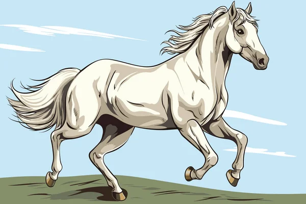 Een Wit Paardenportret Vectorillustratie — Stockvector