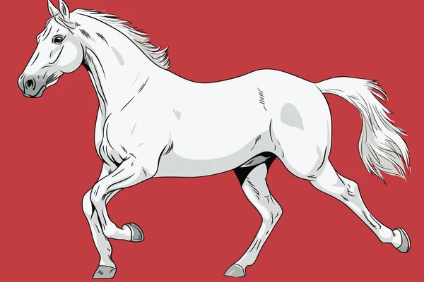 Köra Vitt Hästporträtt Vektor Illustration — Stock vektor