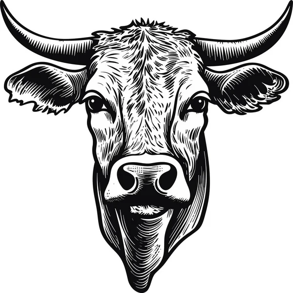 Головка Коровы Логотипом Логотипа Изолированной Векторной Иллюстрацией — стоковый вектор