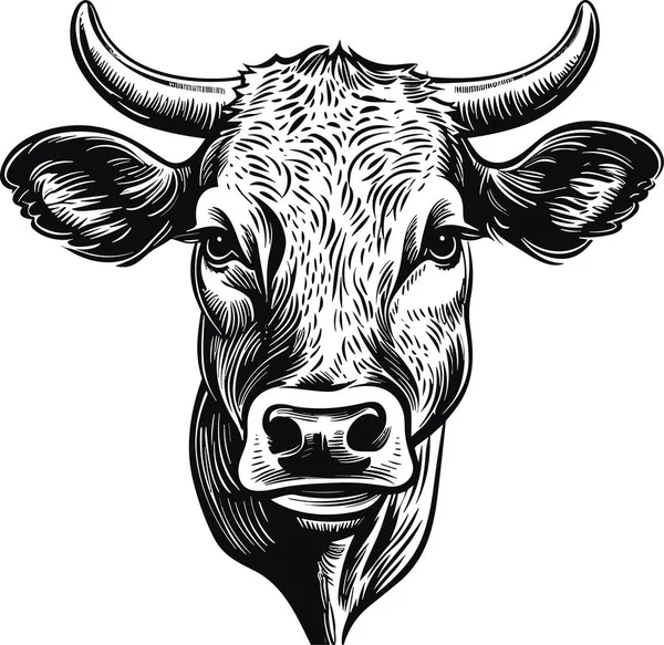 Cabeça Vaca Com Chifres Logotipo Gravura Estilo Isolado Vetor Ilustração — Vetor de Stock