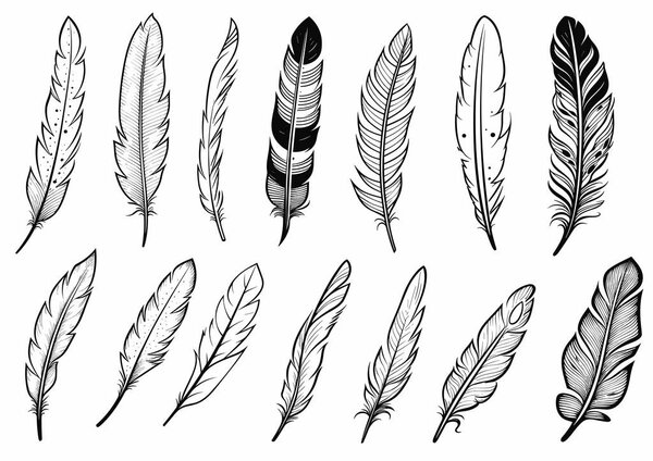 Black and White Feather Set, hand drawn style, vector illustration.