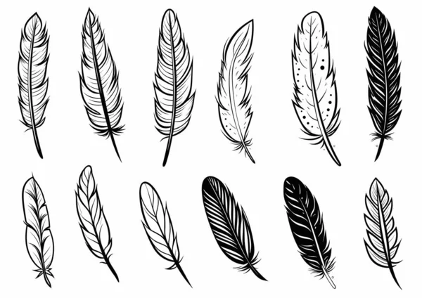 Black White Feather Set Hand Drawn Style Vector Illustration — Stock Vector