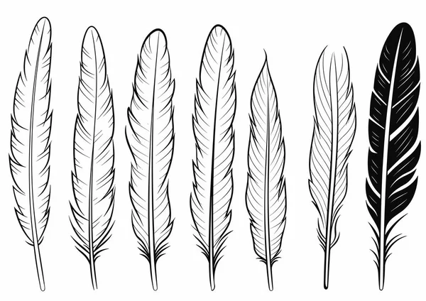 Black White Feather Set Hand Drawn Style Vector Illustration — Stock Vector