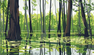 Swamp in the forest. Landscape with marsh, water lilies, trees trunks and bog grass. Vector cartoon illustration of wild forest with river, lake or swamp, vector clipart