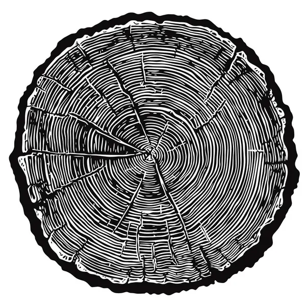 stock vector Log cut, oak end grain vector illustration. Tree rings pattern, black and white