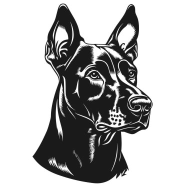 Logo Vektörü İllüzyonu rolünde Doberman Pinscher Dog. Tişört izi veya Dövme Şablonu