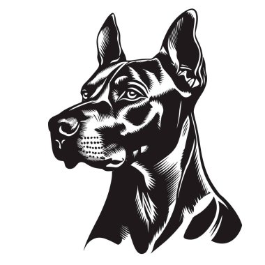 Logo Vektörü İllüzyonu rolünde Doberman Pinscher Dog. Tişört izi veya Dövme Şablonu