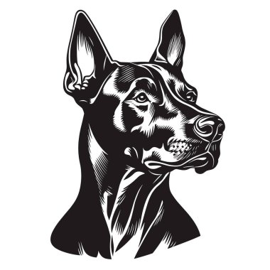 Logo Vektörü İllüzyonu rolünde Doberman Pinscher Dog. Tişört izi veya Dövme Şablonu