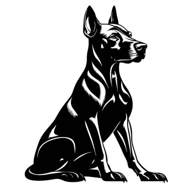 Doberman Pinscher Dog Logo Vektör İllüstrasyonu kadar büyük. Tişört izi veya Dövme Şablonu