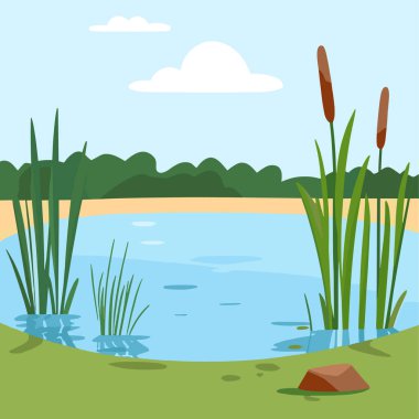 Swamp pond landscape with reed and cattail. Overgrown pond shore. Vector clipart