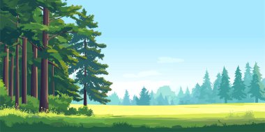 Woodland edge of wild forest with big green trees, summer sunny day nature vector illustration panorama background clipart