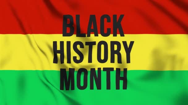 Black History Month Black History Month Flag American African Culture — Stockvideo