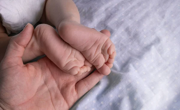 Female Hands Hold Baby Legs Grey Background Close High Quality — Stock Photo, Image