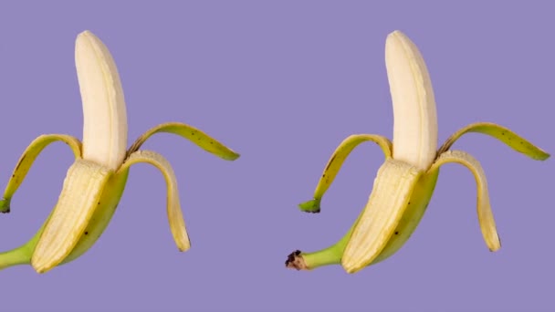 이동하는 현대의 유행하는 애니메이션은 껍질을 바나나 라일락 배경을 열었다 고품질 — 비디오