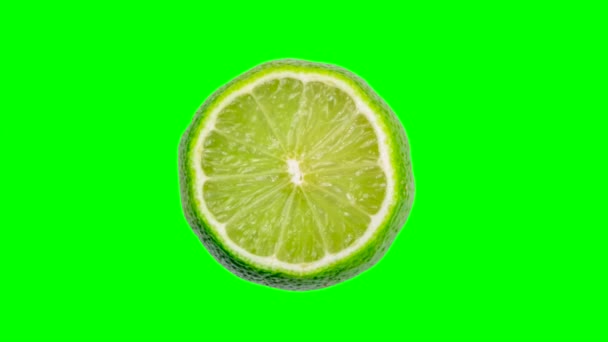 Animação Fruta Comida Moda Bagas Mudança Limão Laranja Mirtilos Toranja — Vídeo de Stock