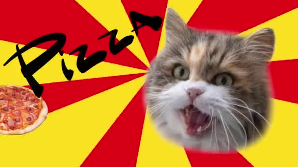 Trendy Funny Animation Cat Eating Pizza High Quality Footage — Vídeo de Stock