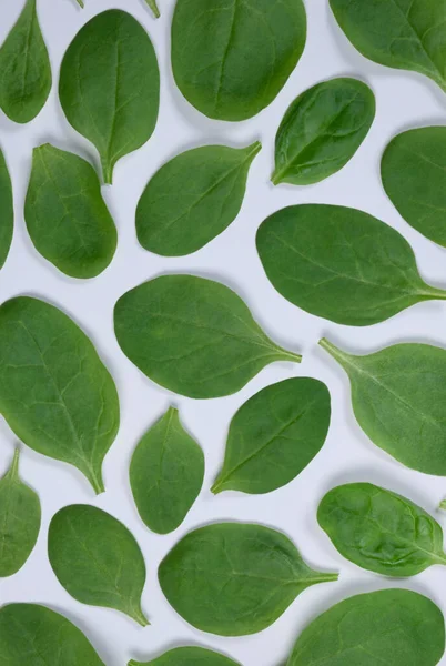 Beyaz arka planda ıspanak yapraklarının arka planı, sağlıklı besin kavramı 