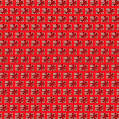 trendy colorful repeating pattern of gift boxes with red bow on red background. texture.wrapping paper. High quality photo
