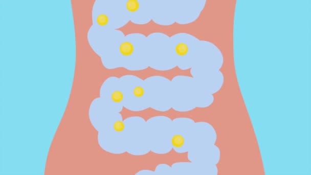 Animation Digestive System Intestines Gases Flatulence Bloating Bacteria High Quality — Stok video