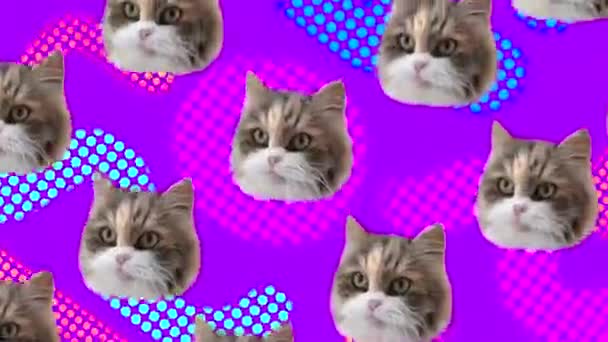 Funny Abstract Animation Heads Cats Multi Colored Background Style Pop — 图库视频影像