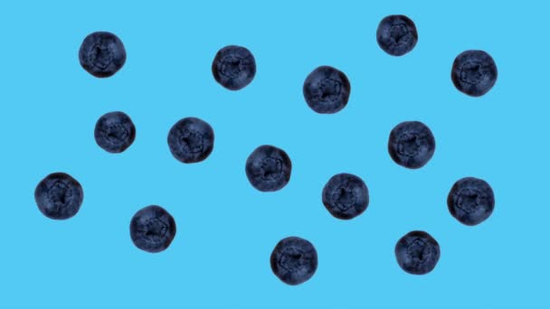 时尚的动画或背景或食物模式 水果从许多摇曳蓝莓蓝色背景 高质量的4K镜头 — 图库视频影像