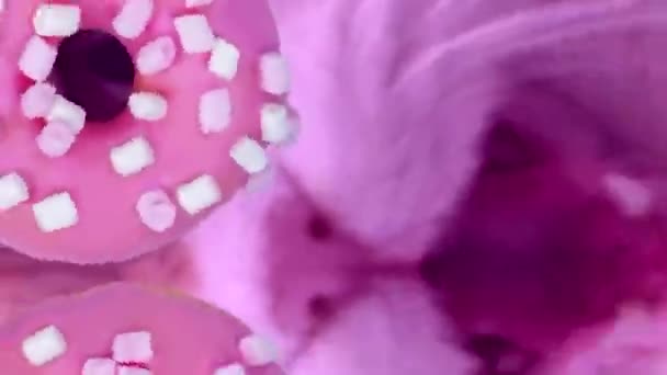 Смешная Абстрактная Анимация Головами Кошек Пончиками Многоцветном Фоне Пиццы Стиле — стоковое видео