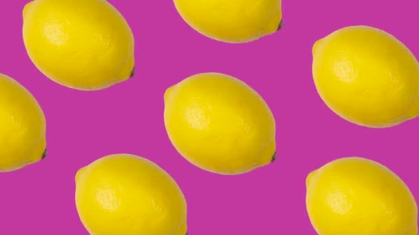 现代时尚的食物动画来自于许多柠檬在紫色背景上的运动 柠檬背景 高质量的4K镜头 — 图库视频影像