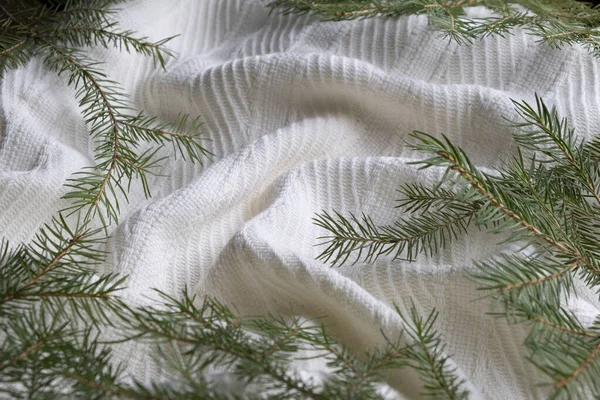 Noel arkaplanı beyaz ekose dalları ile bir noel ağacı üst görünümü. 