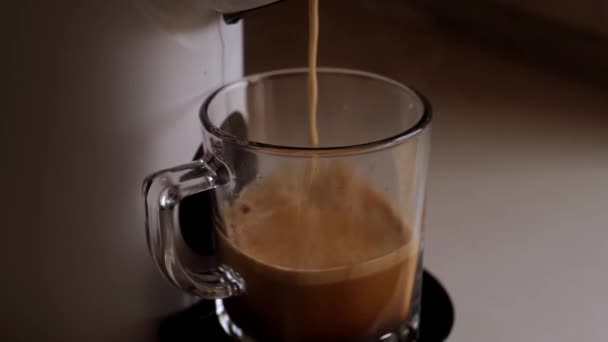 正在准备的咖啡从白色咖啡机或咖啡机中倒入透明的杯子中 背景较轻 高质量的4K镜头 — 图库视频影像