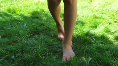 Genç bir kızın bacakları çıplak ayakla kameraya doğru yürüyor, yeşil çimlere ya da çimlere basıyor, ön manzara. Yüksek kalite 4k görüntü