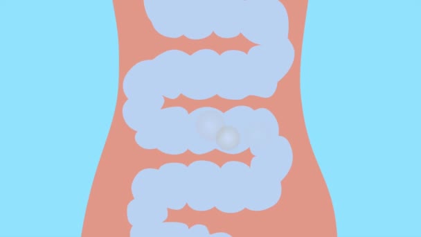 Sistema Digestivo Animação Intestinos Imagens Alta Qualidade — Vídeo de Stock
