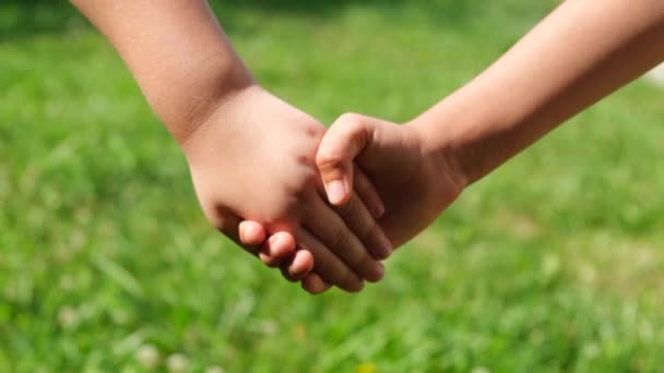 Girlfriends Children Holding Hands Yard Background Grass Concept Childrens Friendship — Stock Video