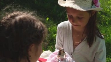 İki kız ya da kız kardeş güneşli bir günde bahçede bebeklerle oynuyorlar. Yüksek kalite 4k görüntü