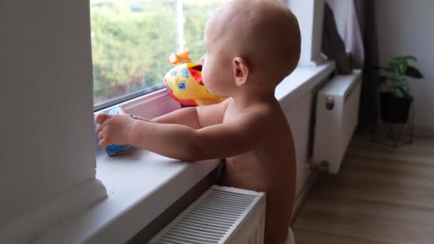 집에서 창턱에 장난감 고품질 — 비디오