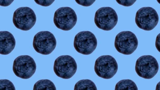 时尚的动画或背景或食物模式 水果从许多摇曳蓝莓蓝色背景 高质量的4K镜头 — 图库视频影像