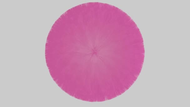 Abstract Video Rendering Rotating Fluffy Pink Ball White Background High — Stock Video