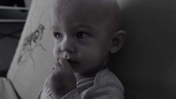 Vídeo Preto Branco Pungente Bebê Orfanato Retratando Inocência Vulnerabilidade Das — Vídeo de Stock