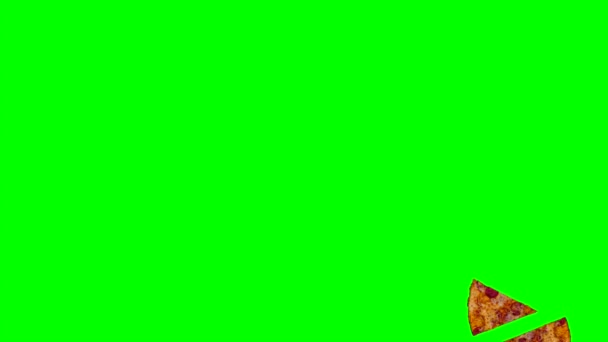 Анимация Пищи Много Кусочков Пиццы Сыром Моцарелла Пепперони Мух Движется — стоковое видео