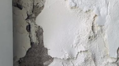 Hasarlı beton duvar. Mantar, nem, kalitesiz çalışma. Yüksek kalite 4k görüntü