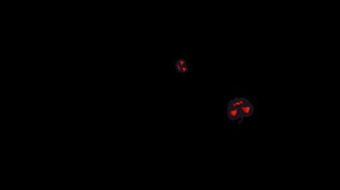 Siyah arka planda uçan balkabakları seti, Cadılar Bayramı için animasyon. Yüksek kalite 4k görüntü