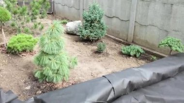  Toprak ya da çiçek, yabani otlardan tarım lifleri serme sürecinde. Yüksek kalite 4k görüntü