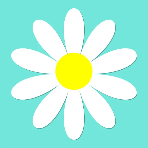 Vector illustration daisy flowers spring green background,Beautiful chamomile flower isolated