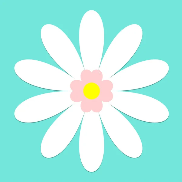 Vector illustration daisy flowers spring green background,Beautiful chamomile flower isolated