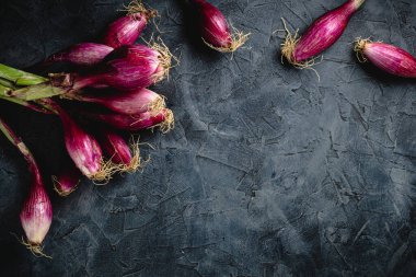 Koyu bir arka planda yetişmiş soğanlar ve metin üstü görüntüsü için fotokopi alanı. Çiğ yiyecek, çevre dostu ürün..