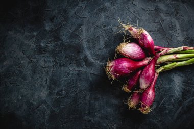 Koyu bir arka planda yetişmiş soğanlar ve metin üstü görüntüsü için fotokopi alanı. Çiğ yiyecek, çevre dostu ürün..