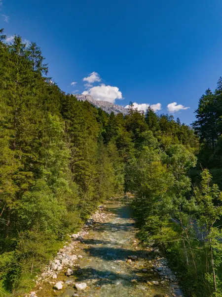 Slovenya 'daki güzel nehir, orman ve dağın havadan görünüşü insansız hava aracı ile vuruldu.