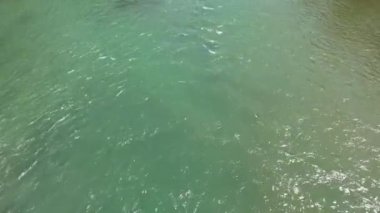 Slovenya 'daki güzel Sava Nehri' nin insansız hava aracı ile çekilmiş havadan görüntüsü