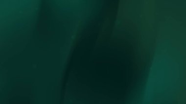 Koyu yeşil ve siyah eğim