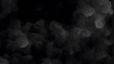 Hafif Yüzen Parçacıklar Efektiyle Siyah ve Beyaz Duman Arkaplanı