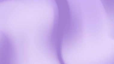 Web sitesi tasarımları için uygun lavanta grafikleri sosyal medya grafikleri kart kırtasiyesi ve kadınsı markalaşma projeleri